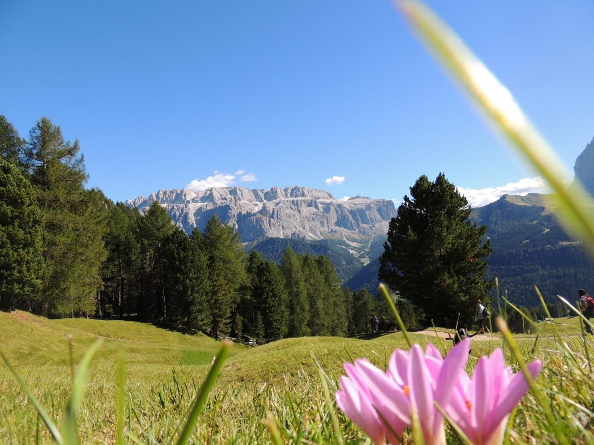 Hotel Chalet Dlaces Selva di Val Gardena Exterior photo