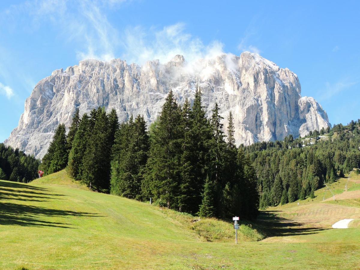 Hotel Chalet Dlaces Selva di Val Gardena Exterior photo